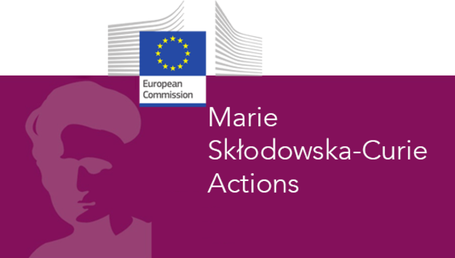 dr Katarzyna Wasielewska laureatką prestiżowego Programu Marie Skłodowska-Curie Actions Individual Fellowships